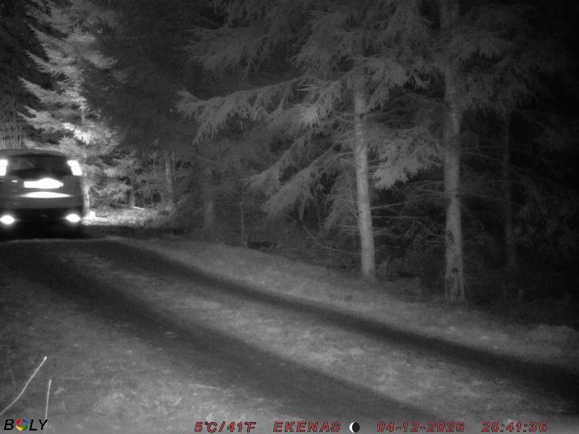 Bild från EKENÄSSALTSTEN