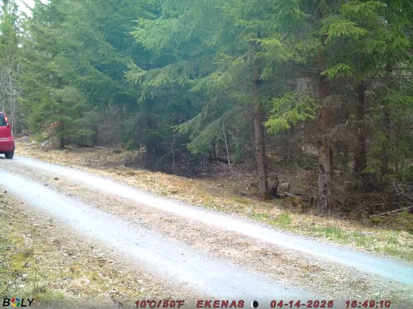 Bild från EKENÄSSALTSTEN