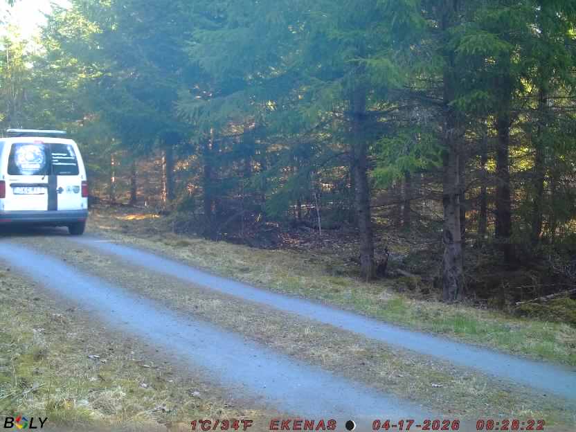 Bild från EKENÄSSALTSTEN