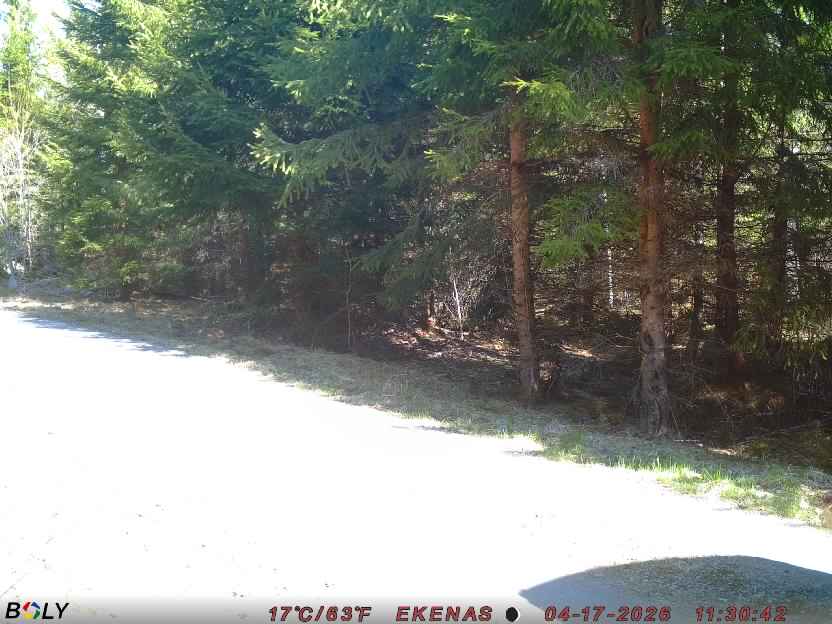 Bild från EKENÄSSALTSTEN