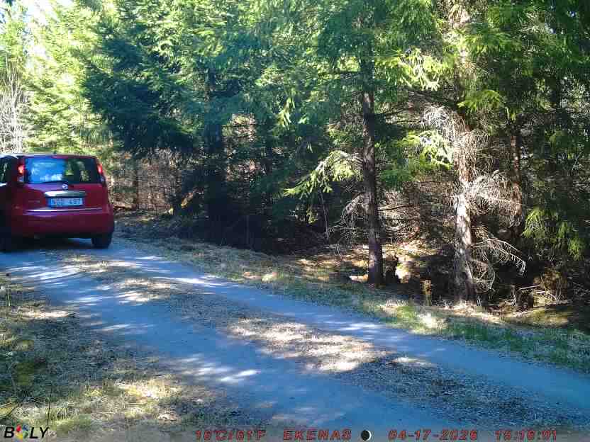 Bild från EKENÄSSALTSTEN