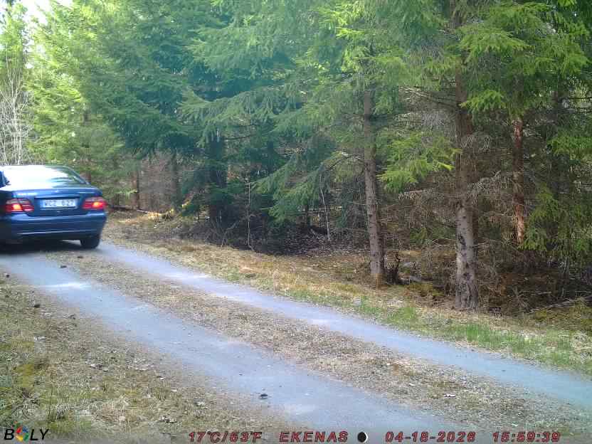 Bild från EKENÄSSALTSTEN