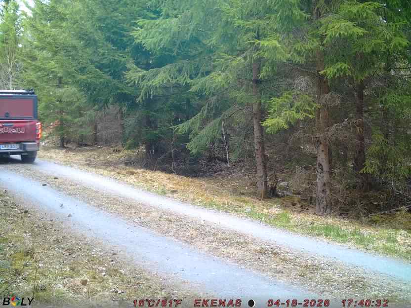 Bild från EKENÄSSALTSTEN