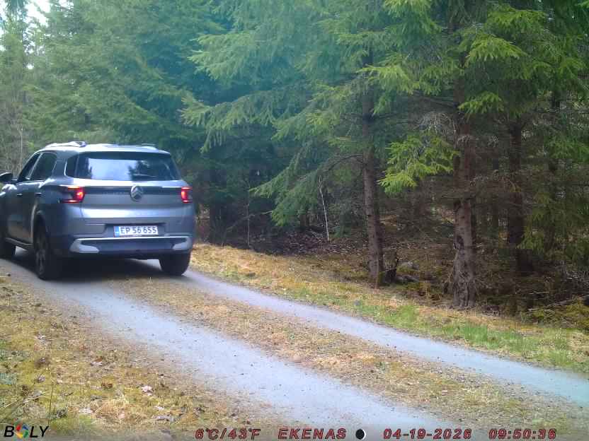 Bild från EKENÄSSALTSTEN