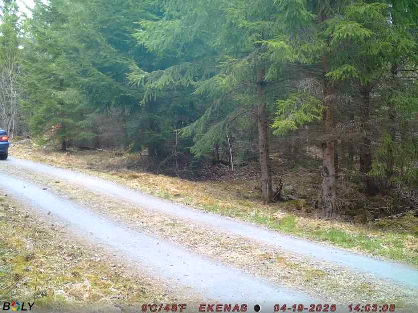 Bild från EKENÄSSALTSTEN