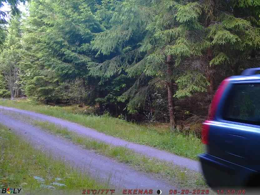 Bild från EKENÄSVÄGEN