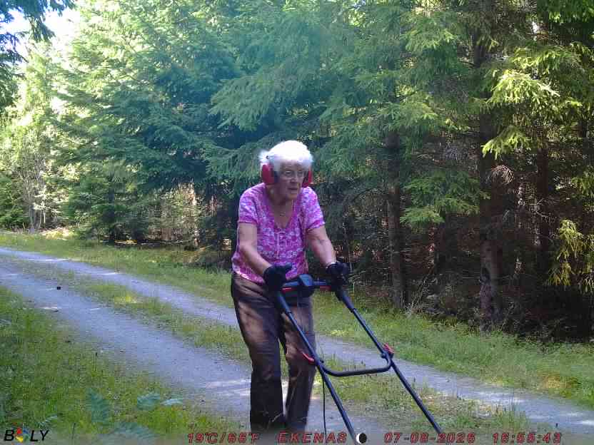 Bild från EKENÄSVÄGEN