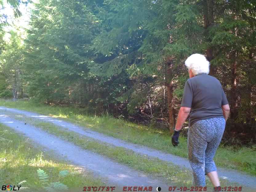 Bild från EKENÄSVÄGEN