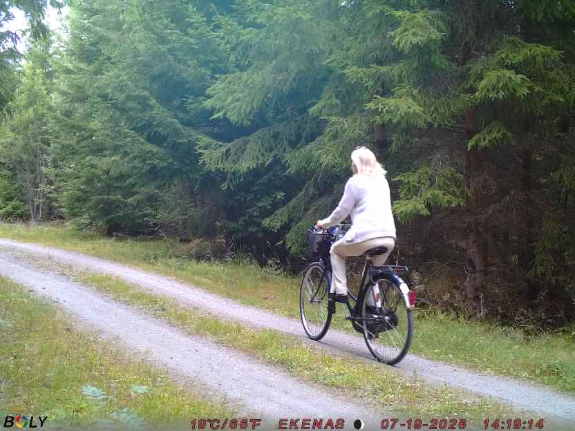 Bild från EKENÄSVÄGEN
