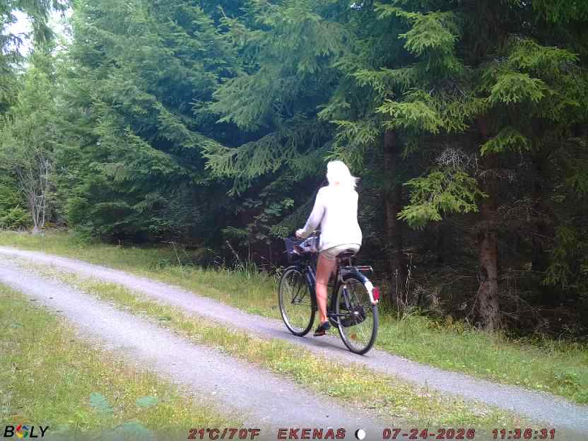 Bild från EKENÄSVÄGEN