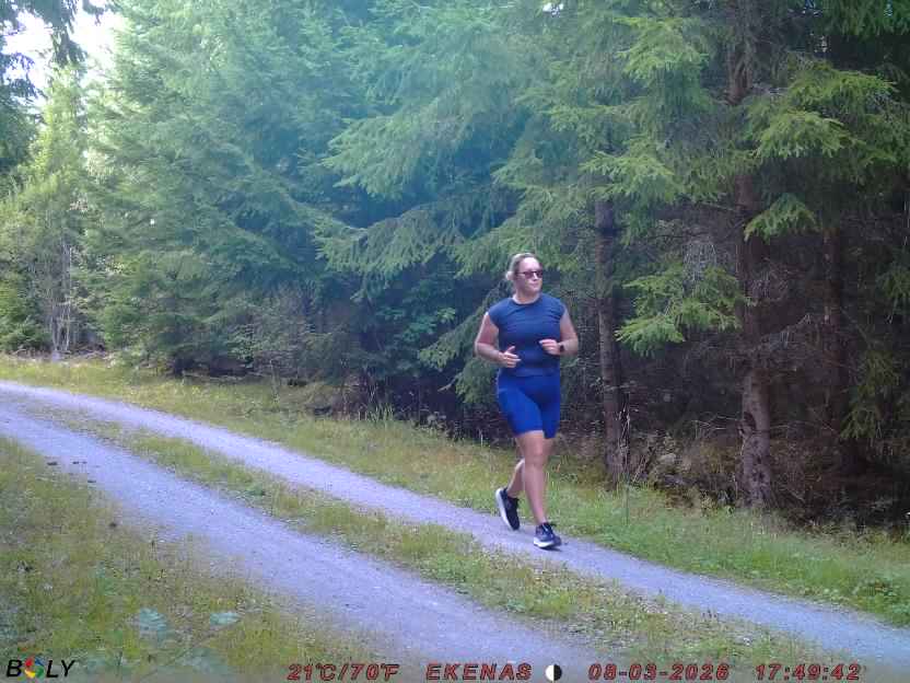 Bild från EKENÄSVÄGEN
